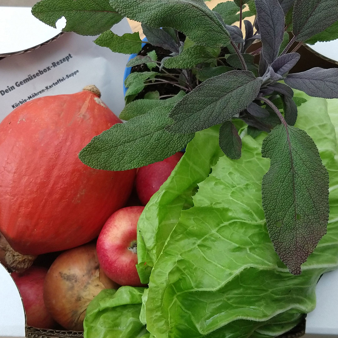 Gemüsekiste / Gemüsebox / Kochbox oder Markttage - Gemuesebox_Abholung