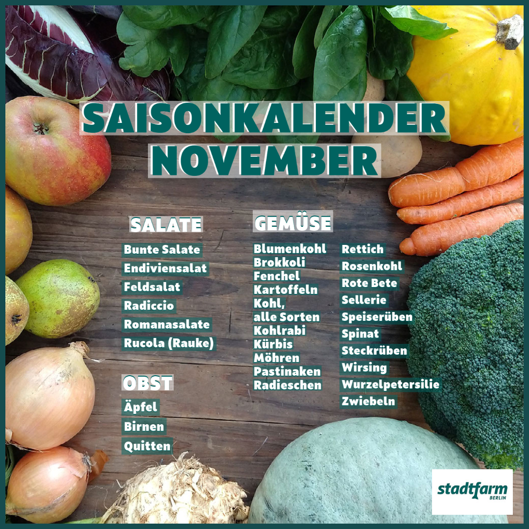 Gemüsekiste / Gemüsebox / Kochbox oder Markttage - Kalender November