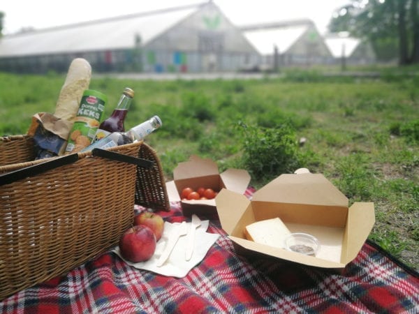 Picknickbox – vegetarisch