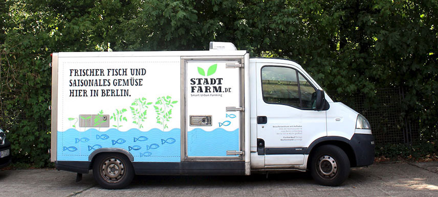 Gemüsekiste / Gemüsebox / Kochbox oder Markttage - StadtFarm_Lieferung_Fischbox