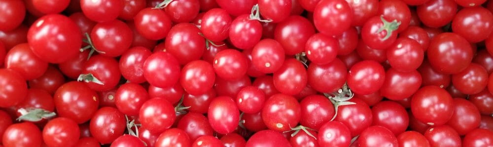 Smart-Urban-Farming Tomaten Header
