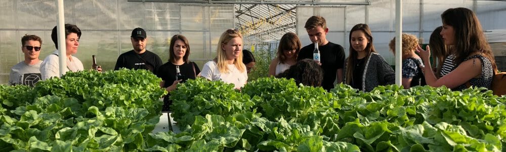 Smart Urban Farming - Bloggerdinner - Führung - Gewächshaus